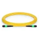 MPO to MPO Female, OS2 LSZH Type B, 12 Fibers Elite Trunk Cable, 1m