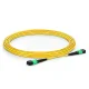 MPO to MPO Female, OS2 LSZH Type B, 12 Fibers Elite Trunk Cable, 1m
