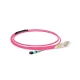 MTP Female to LC, OM4 OFNP Type B, 8 Fibers Elite Breakout Cable, 1m