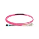 MTP hembra a LC, OM4 OFNP tipo B, cable de ruptura Elite de 8 fibras, 1 m