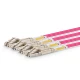 MTP Female to LC, OM4 LSZH Type B,8 Fibers Elite Breakout Cable, 1m