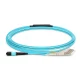 MTP Femelle vers LC, OM3 OFNP Type B, 8 Fibers Elite Breakout Cable, 1m