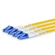 MTP LC母头，OS2 LSZH B型，12根光纤分支电缆，3m