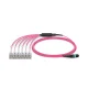 MTP Female to LC, OM4 LSZH Type A,12 Fibers Elite HD BIF Breakout Cable, 1m