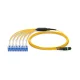 MTP Female to LC, OS2 LSZH Type A,12 Fibers Elite HD BIF Breakout Cable, 1m