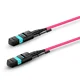 MTP Female to LC, OM4 LSZH Type A,12 Fibers Elite HD Breakout Cable, 1m