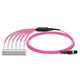 MTP Female to LC, OM4 LSZH Type A,12 Fibers Elite HD Breakout Cable, 1m