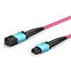 MTP to MTP Female, OM4 OFNP Type B, 12 Fibers Elite Trunk Cable, 1m