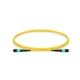 MTP to MTP Female, OS2 OFNP Type B, 12 Fibers Elite Trunk Cable