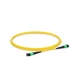 MTP to MTP Female, OS2 LSZH Type B, 12 Fibers Elite Trunk Cable