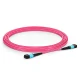 MTP to MTP Female, OM4 OFNP Type A, 12 Fibers Elite Trunk Cable,