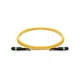 MTP to MTP Female, OS2 LSZH Type A, 12 Fibers Elite HD Trunk Cable, 1m