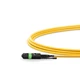 MTP to MTP Female, OS2 LSZH Type A, 12 Fibers Elite HD Trunk Cable, 1m