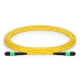 MTP a MTP macho, OS2 LSZH tipo A, cable troncal Elite de 12 fibras, 7 m