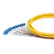 LC UPC 12纤维OS2束PVC 0.9mm尾纤，1.5m