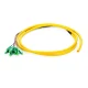 LC APC 12 fibras OS2 manojo PVC 0,9 mm Pigtail, 1,5 m